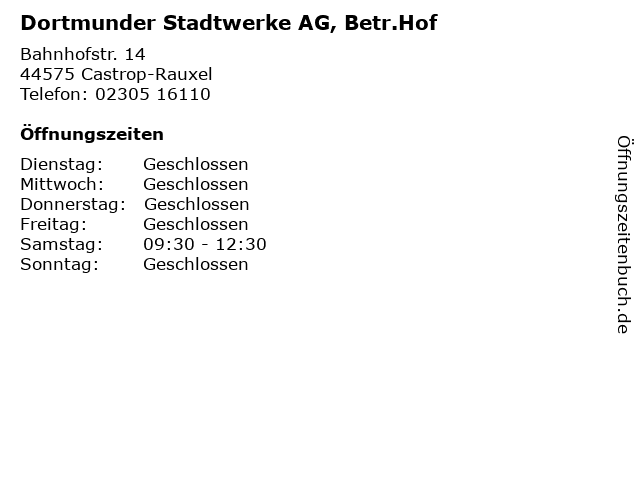 Dortmunder Stadtwerke AG, Betr.Hof in Castrop-Rauxel: Adresse und Öffnungszeiten