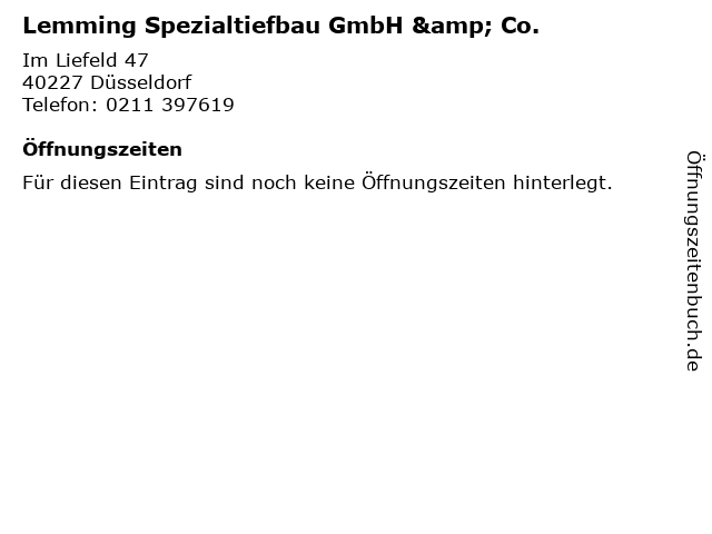Lemming Spezialtiefbau GmbH & Co. in Düsseldorf: Adresse und Öffnungszeiten