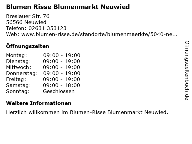 Blumen Risse Neuwied Angebote