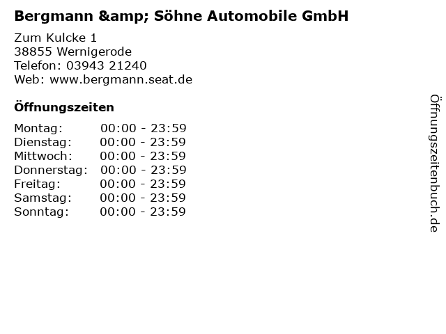 Bergmann & Söhne Automobile GmbH in Wernigerode: Adresse und Öffnungszeiten